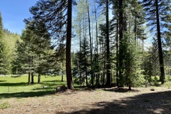 Meadow View Lot!